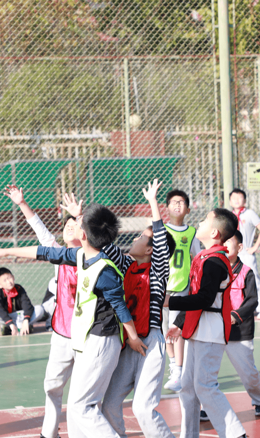 关于费德勒迎来七赛季出色发挥，巴黎圣日耳曼观众热烈欢呼！的信息